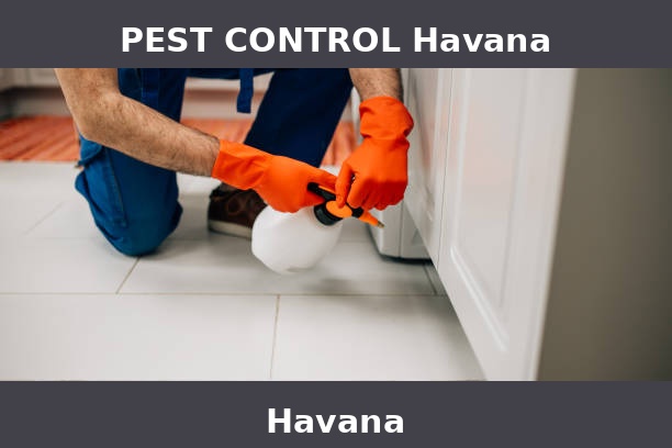 PEST CONTROL Havana